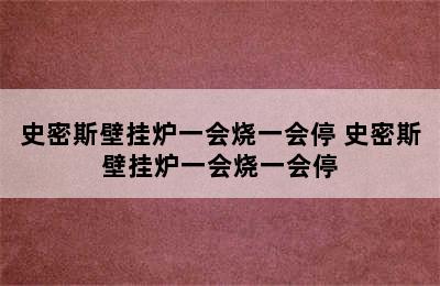 史密斯壁挂炉一会烧一会停 史密斯壁挂炉一会烧一会停